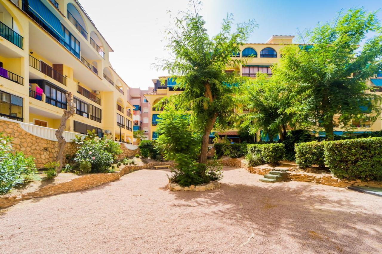 Alegria Id36 Appartement La Mata (Torrevieja)